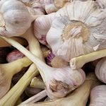 Quando colocar alho num assado: o erro de uma fração de segundo que separa o amargo do doce quando-colocar-alho-num-assado-o-erro-de-uma-fracao.jpg